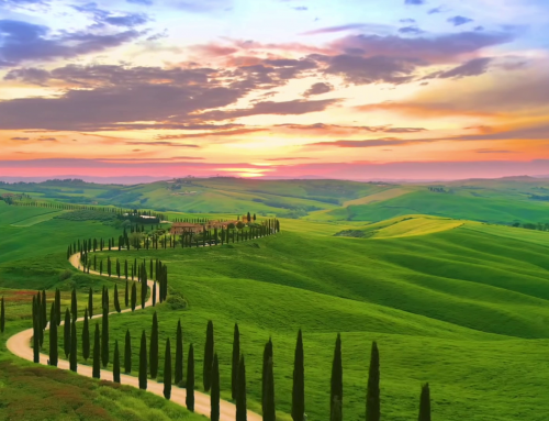 Meeting 2026 – 10 anni di successi
